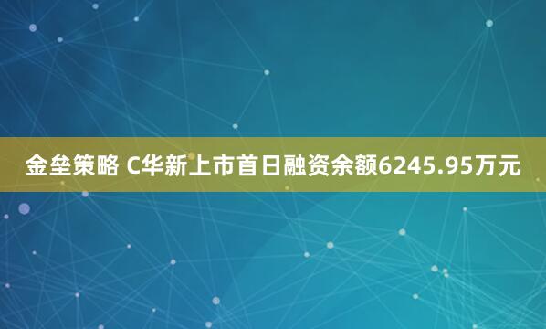 金垒策略 C华新上市首日融资余额6245.95万元