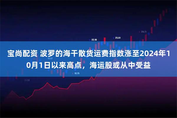 宝尚配资 波罗的海干散货运费指数涨至2024年10月1日以来高点，海运股或从中受益